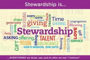 stewardship-purple